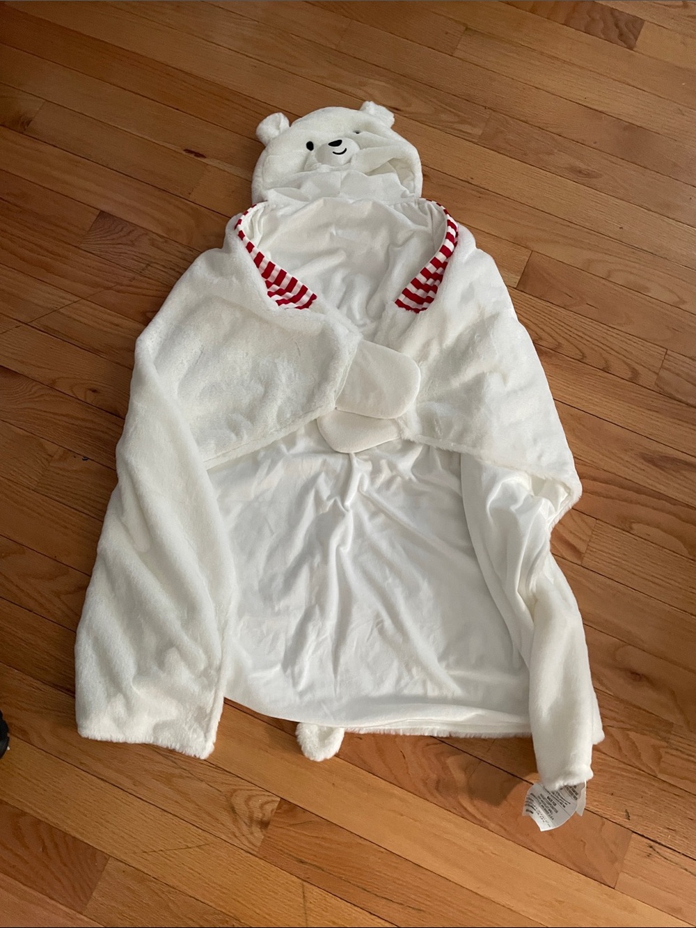 Polar Bear Hooded blanket